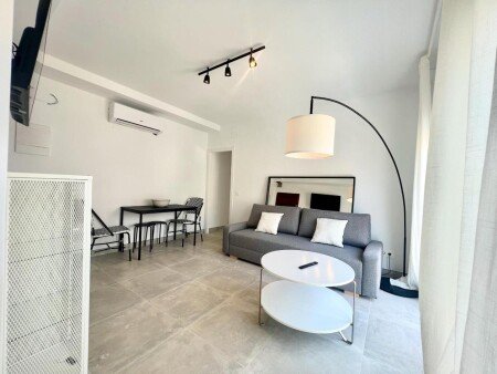 Aparthotel 1 habitación, con jardín