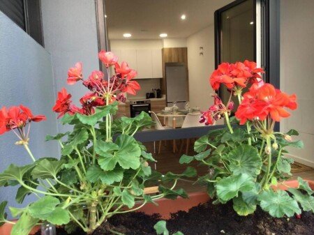 Apartamento 2 habitaciones, con wifi