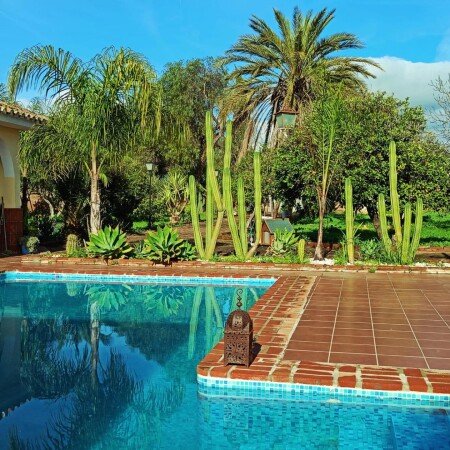 Apartamento 1 habitación, con piscina