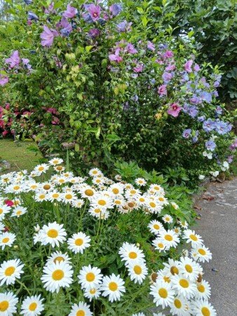 Hostal 2 huéspedes, con jacuzzi