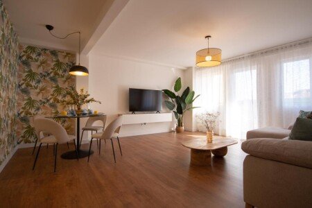 Apartamento 2 habitaciones, con aire acondicionado
