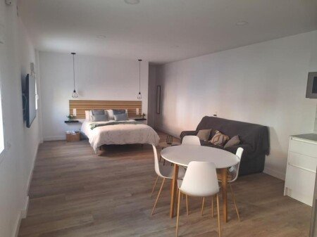 Apartamento 1 habitación, con aire acondicionado