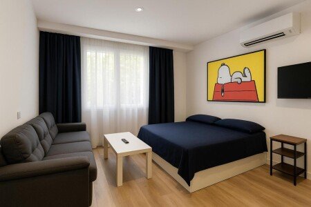 Apartamento 1 habitación, con aire acondicionado
