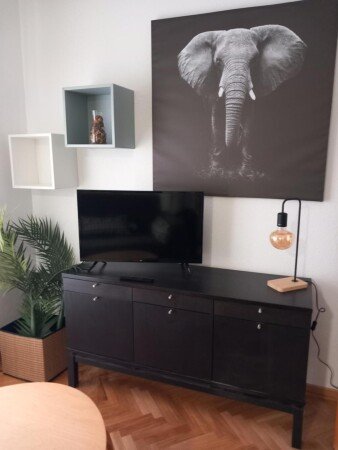 Apartamento 1 habitación, con aire acondicionado