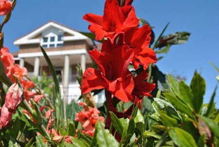 Hostal 3 huéspedes, con jardín