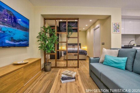 Apartamento 1 habitación, con aire acondicionado