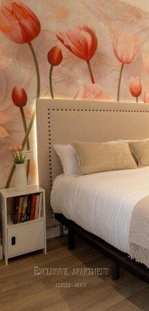 Apartamento 1 habitación, con wifi