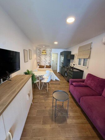 Apartamento 1 habitación, con aire acondicionado