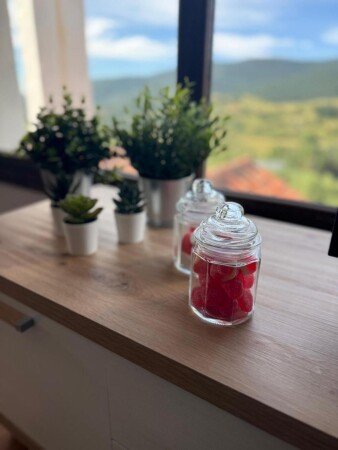 Apartamento 1 habitación, con desayuno