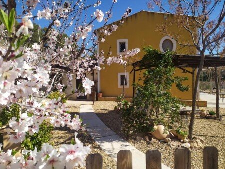 Chalet 5 habitaciones, con piscina