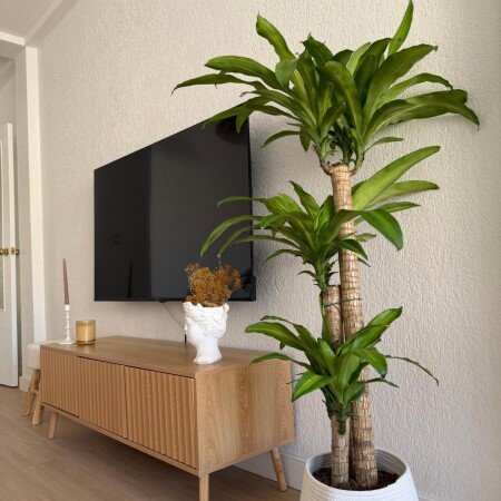 Casa 3 habitaciones, con aire acondicionado