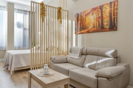 Aparthotel 1 habitación, con aire acondicionado