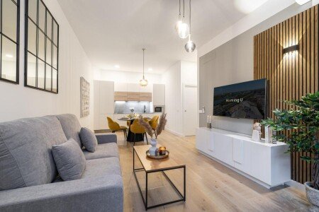 Appart'Hotel 4 voyageurs, avec climatisation