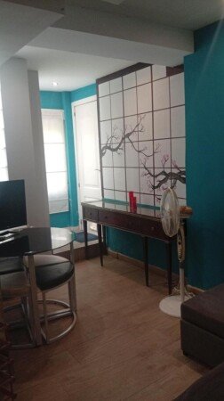 Apartamento 1 habitación, con jardín