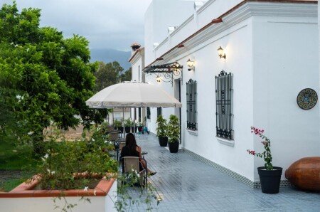 Hotel con jardín