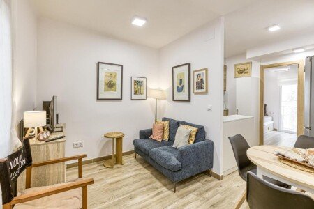 Apartamento 2 habitaciones, con aire acondicionado