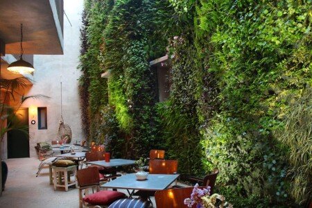 Hotel con jardín