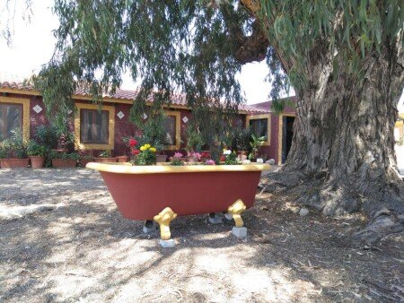 Bed and breakfast 3 huéspedes, con piscina
