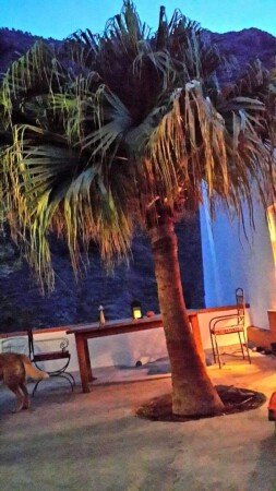 Casa 1 habitación, con jardín