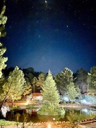 Chalet 1 chambre, avec piscine