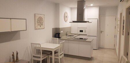 Apartamento 1 habitación, con aire acondicionado