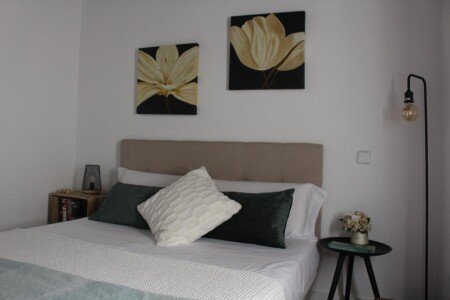Apartamento 1 habitación, con aire acondicionado