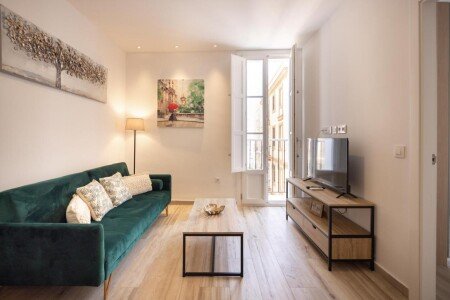 Apartamento 1 habitación, con aire acondicionado