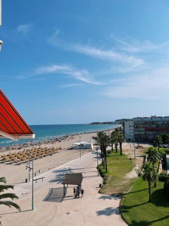 Apartamento 1 habitación, con jardín