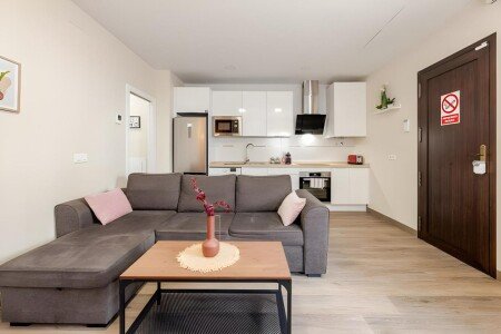 Apartamento 1 habitación, con aire acondicionado