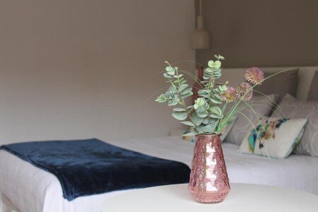 Bed and breakfast 1 habitación, con jardín