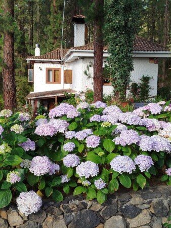 Casa 2 habitaciones, con jardín