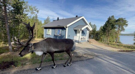 Chalet 2 Schlafzimmer, mit Garten