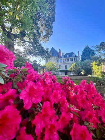 Appartement de charme, 4 voyageurs, avec piscine