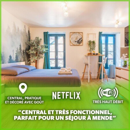 Appartement cozy, 1 chambre, avec wifi