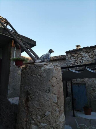 Appart'Hotel 1 chambre, avec jardin