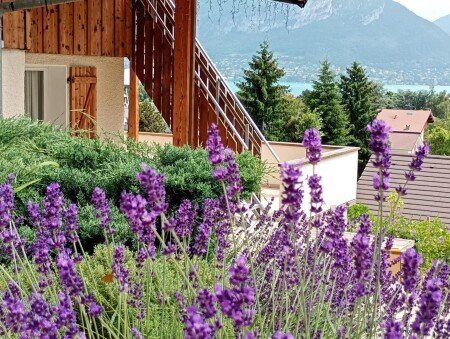 Chalet 4 voyageurs, avec jardin