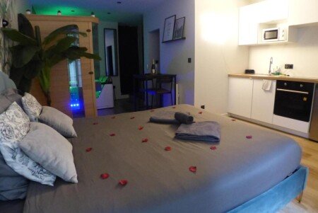 Appartement 1 chambre, avec jacuzzi