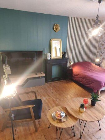 Appartement 1 chambre, avec jardin