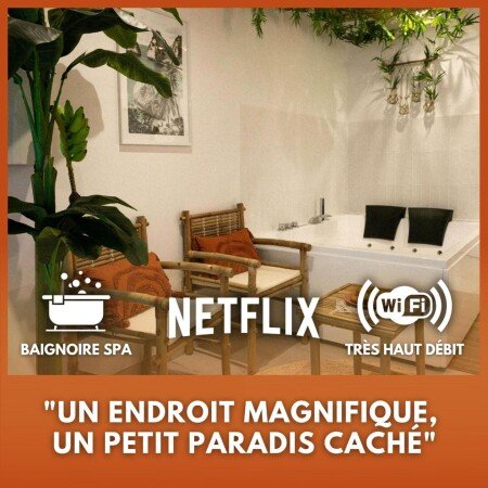 Appartement 1 chambre, avec jacuzzi