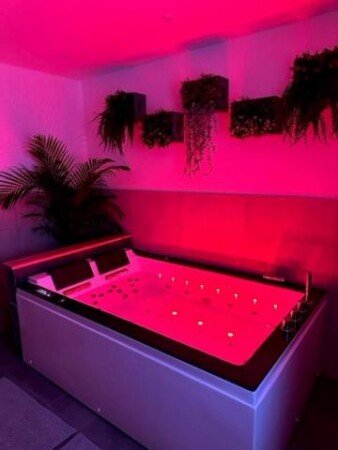Appartement 1 slaapkamer, met jacuzzi