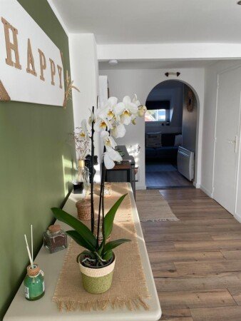 Appartement 1 chambre, avec jardin