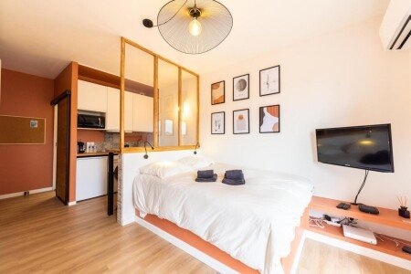 Appartement cozy, 1 chambre, avec climatisation