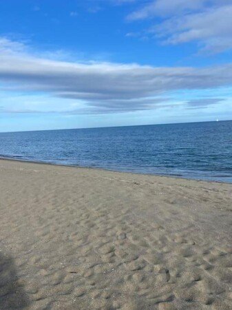 T2 1 chambre, avec piscine