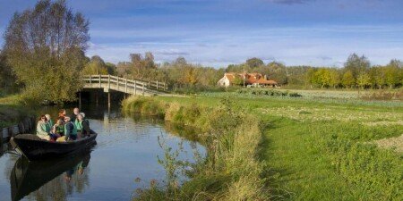 Tiny house 1 chambre, avec jacuzzi