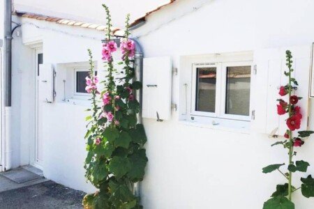 Appartement 1 chambre, avec wifi