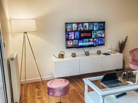 Appartement cozy, 1 chambre, avec jardin