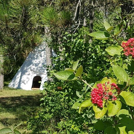 Kota 1 chambre, avec parking