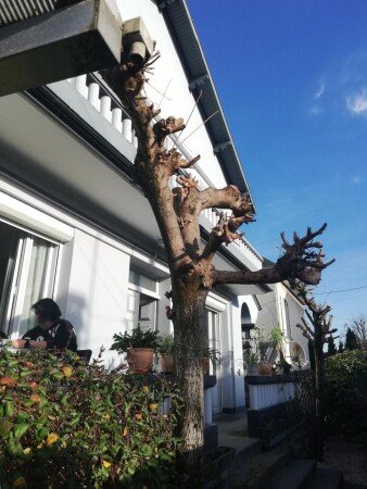 Bed and breakfast 1 bedroom, with garden