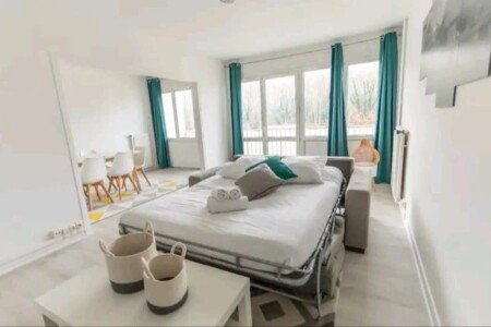 Appartement cozy, 2 chambres, avec wifi