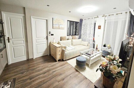 Appartement 1 chambre, avec climatisation